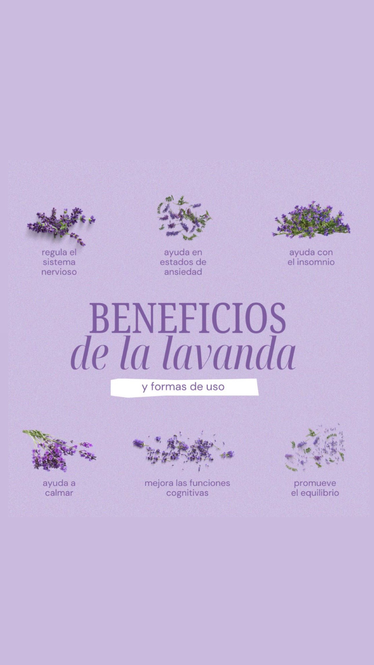 Lavender soap.
